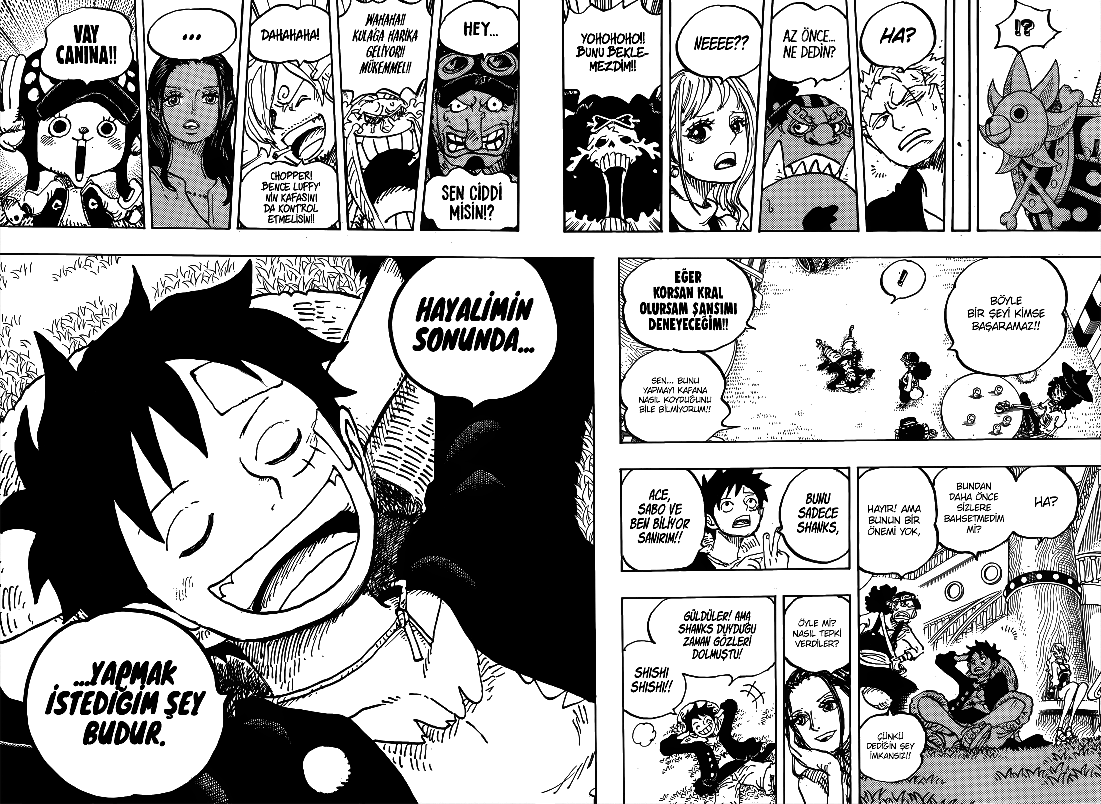 Spoiler] - One Piece 1061  One Piece Türkiye Fan Sayfası, One Piece Türkçe  Manga, One Piece Bölümler, One Piece Film