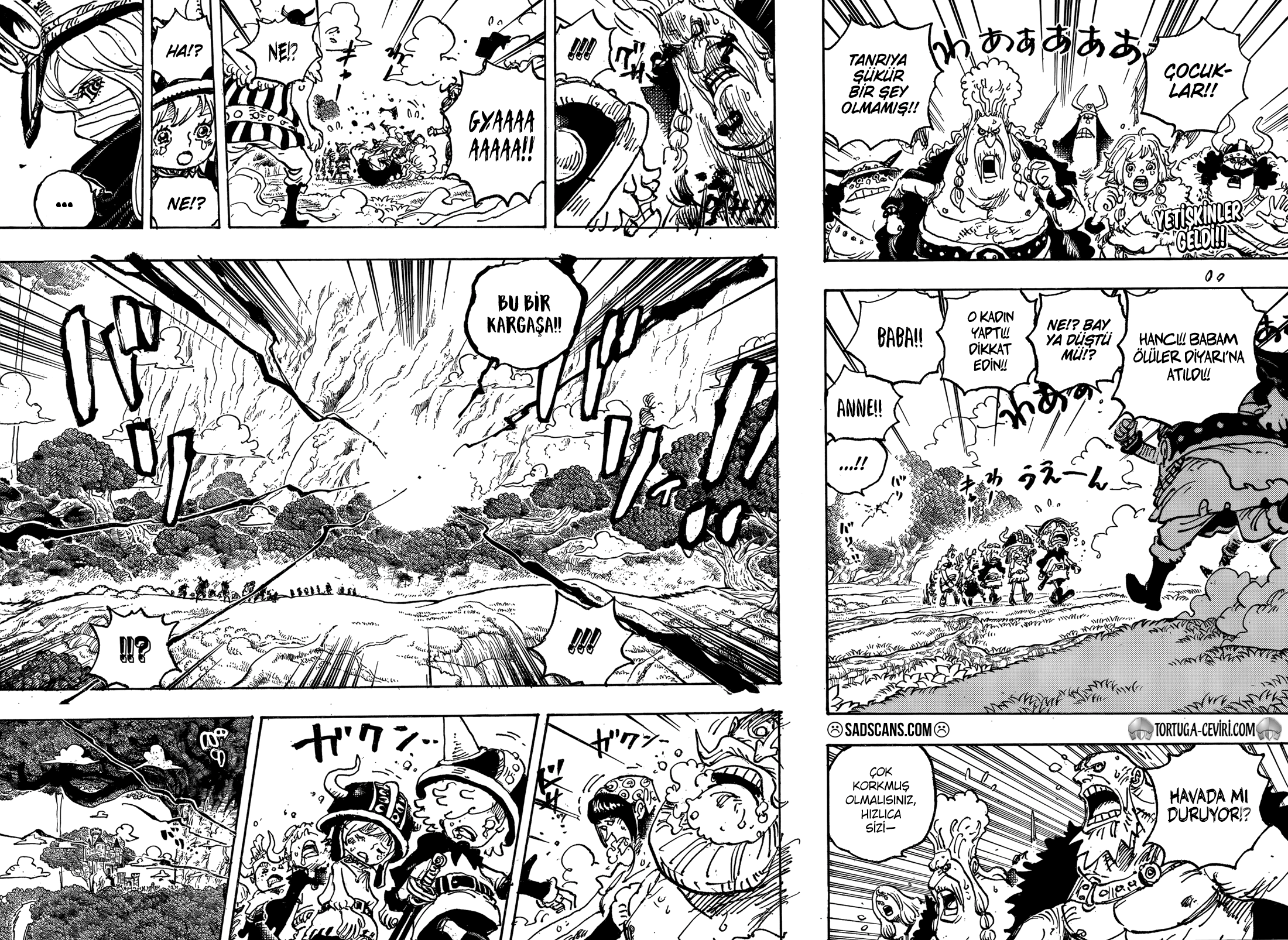 One Piece Bölüm 1150 - Sayfa 3 manga oku