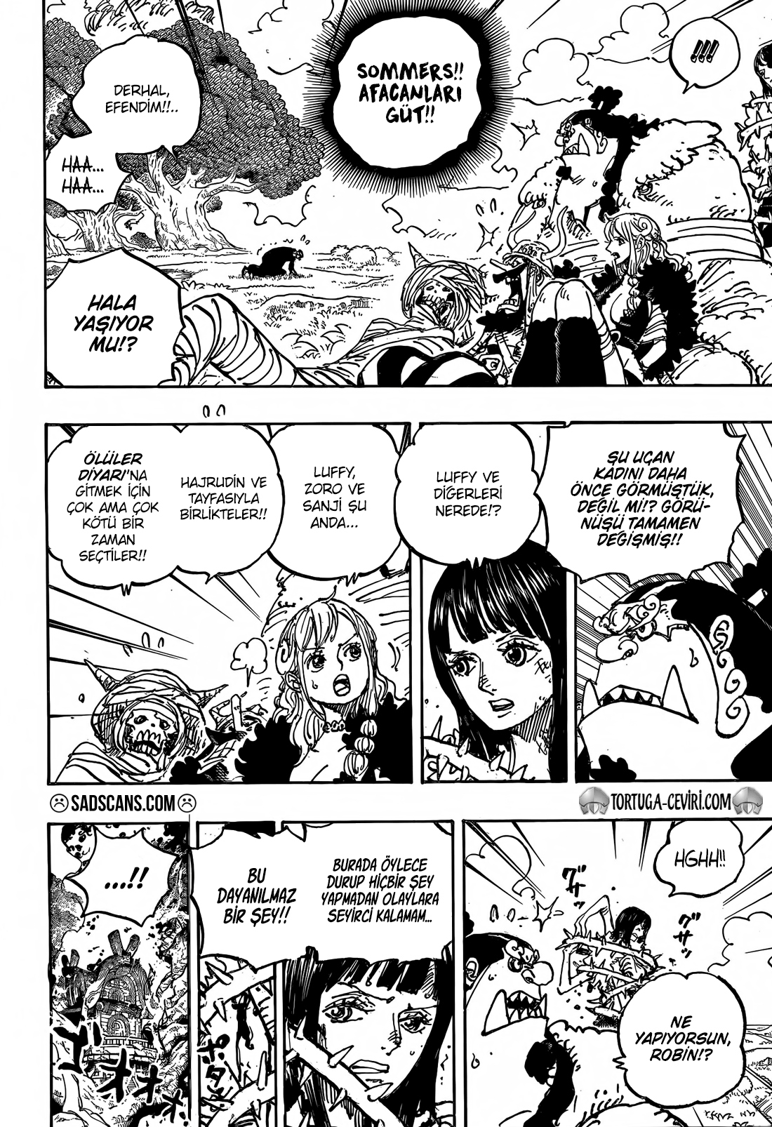 One Piece Bölüm 1150 - Sayfa 5 manga oku