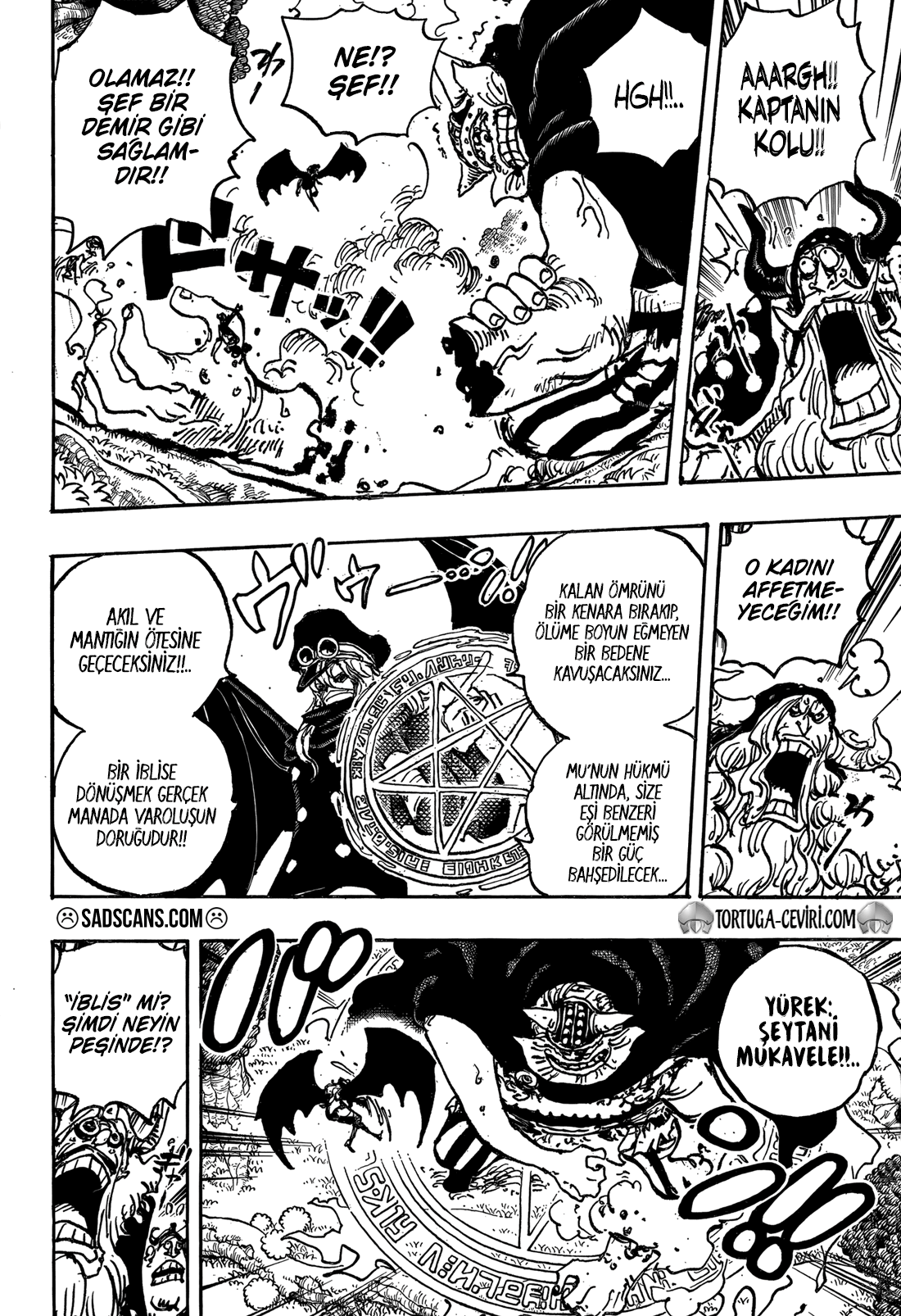 One Piece Bölüm 1150 - Sayfa 9 manga oku