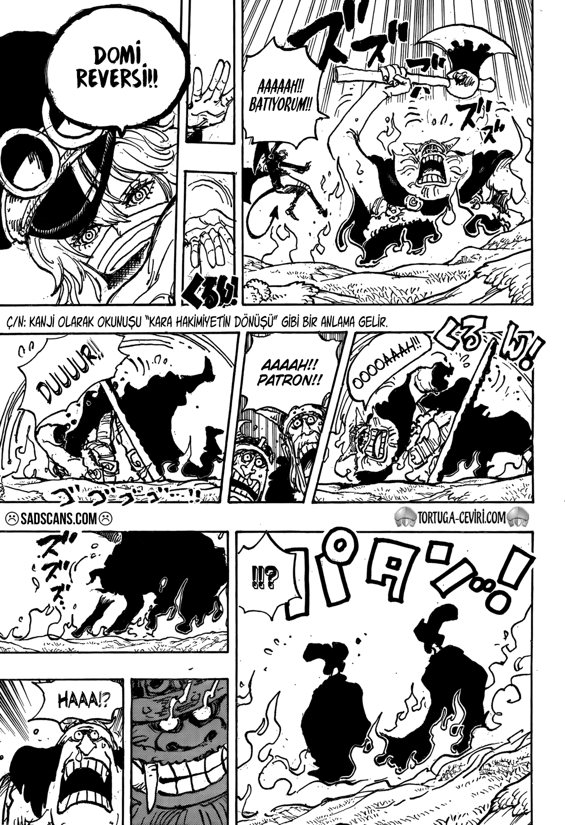 One Piece Bölüm 1150 - Sayfa 10 manga oku