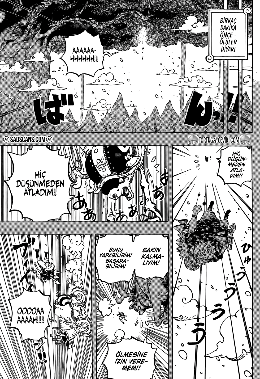One Piece Bölüm 1151 - Sayfa 9 manga oku