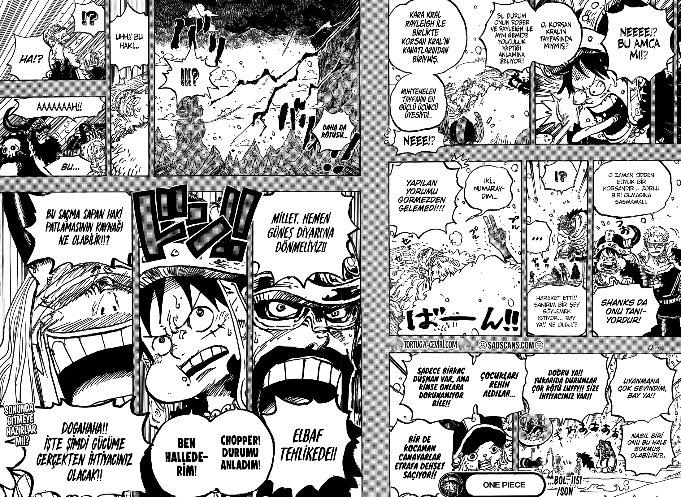 One Piece Bölüm 1151 - Sayfa 13 manga oku