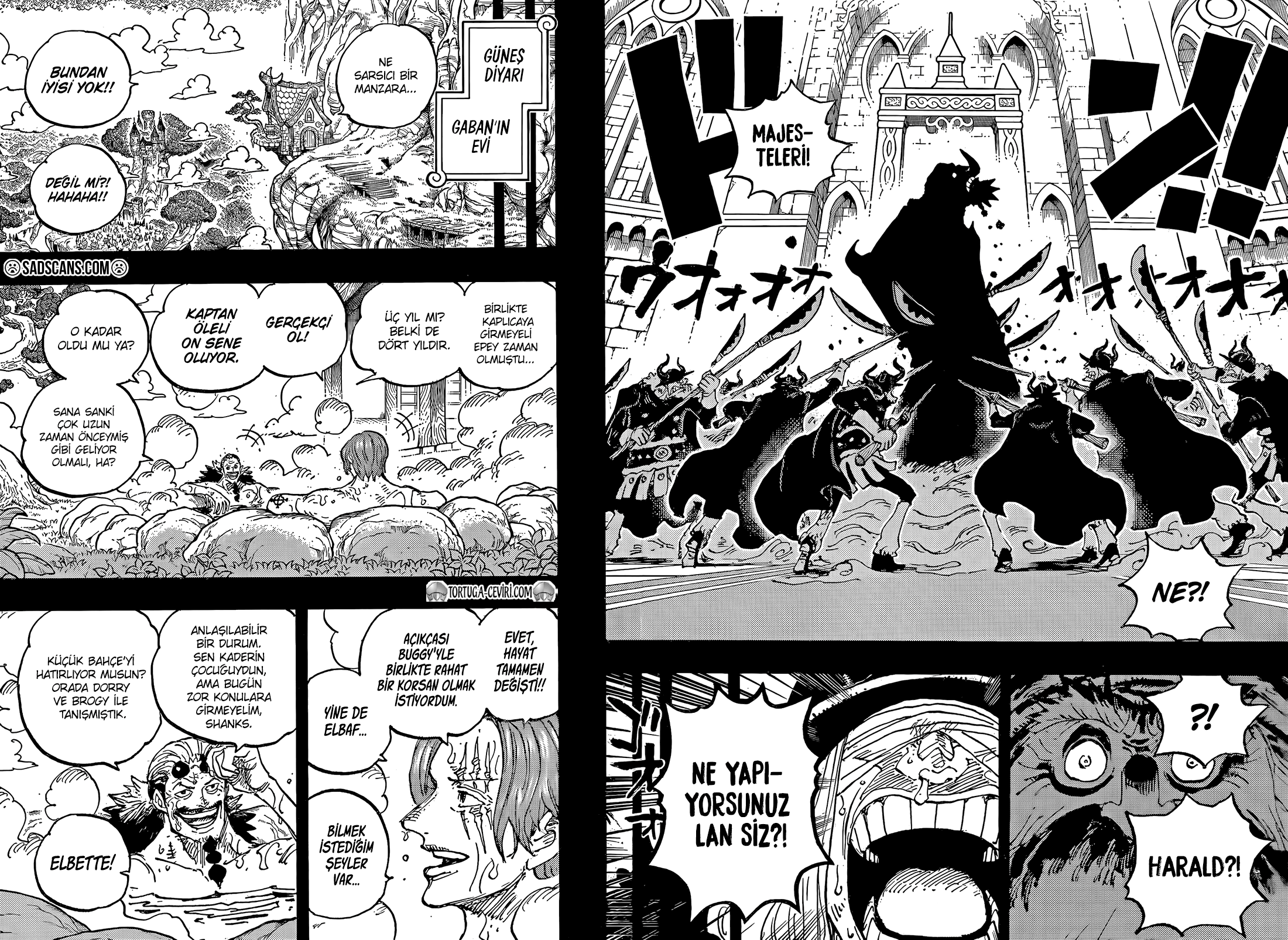 One Piece Bölüm 1152 - Sayfa 13 manga oku