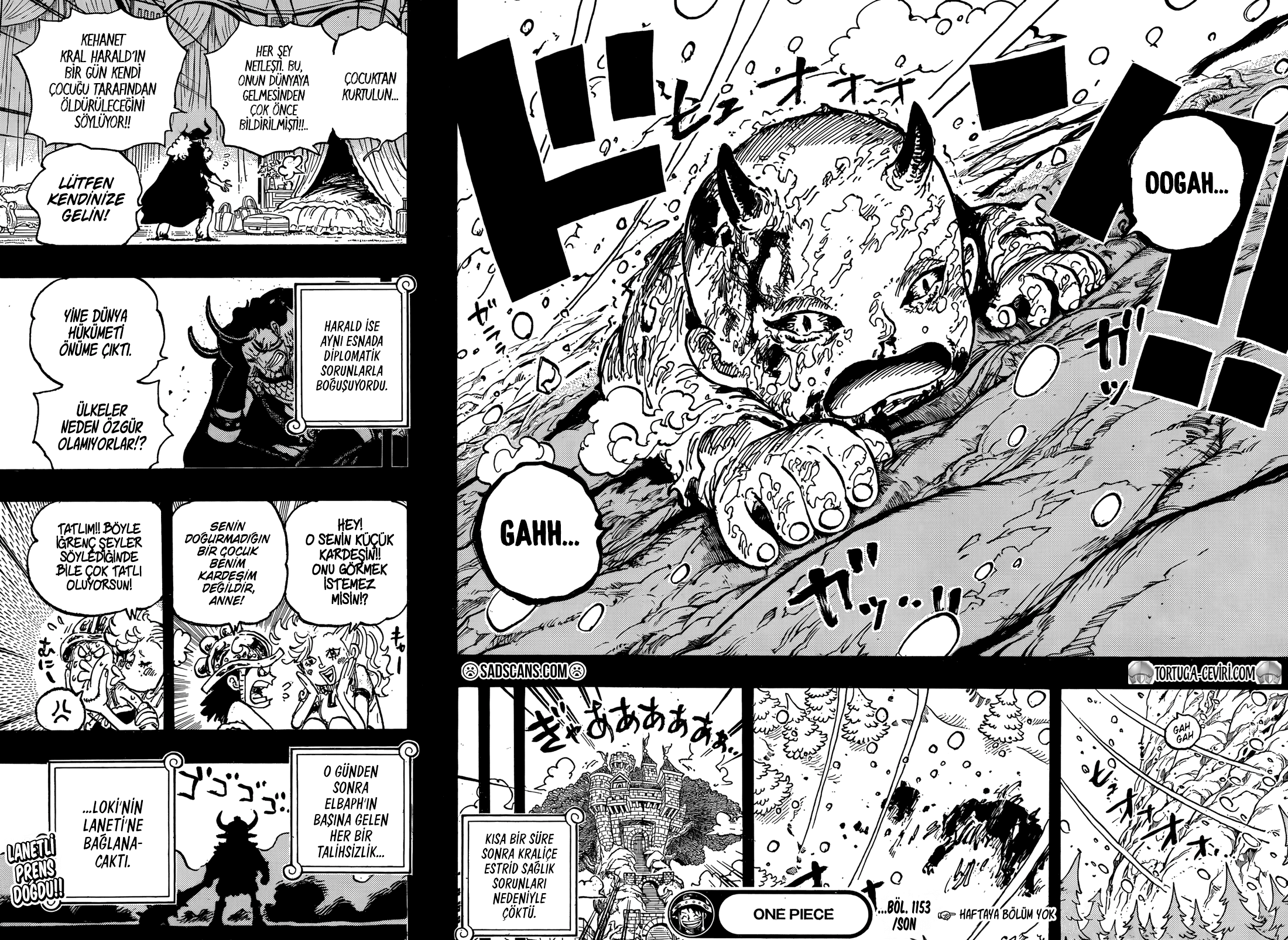 One Piece Bölüm 1153 - Sayfa 17 manga oku