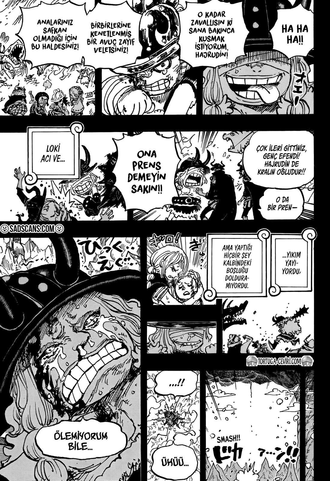 One Piece Bölüm 1154 - Sayfa 14 manga oku