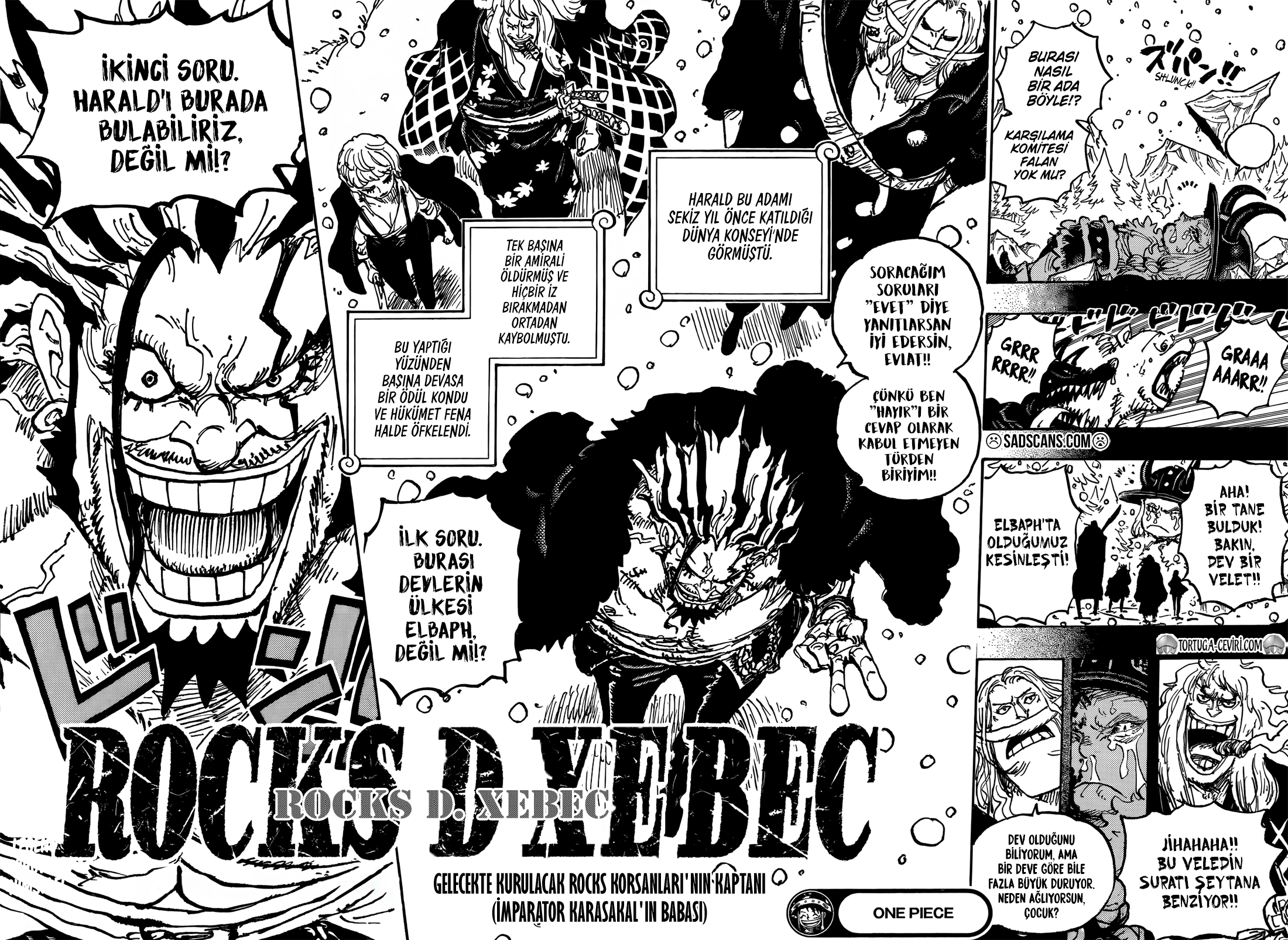 One Piece Bölüm 1154 - Sayfa 15 manga oku