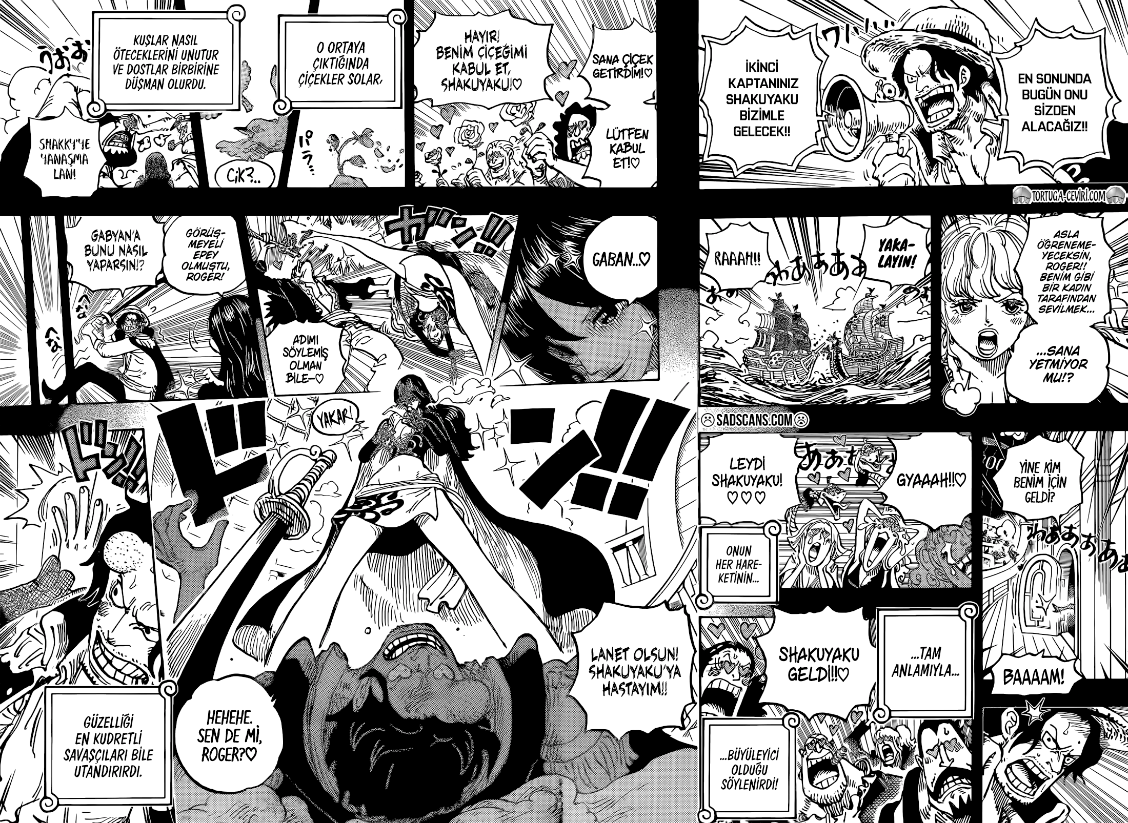 One Piece Bölüm 1156 - Sayfa 7 manga oku