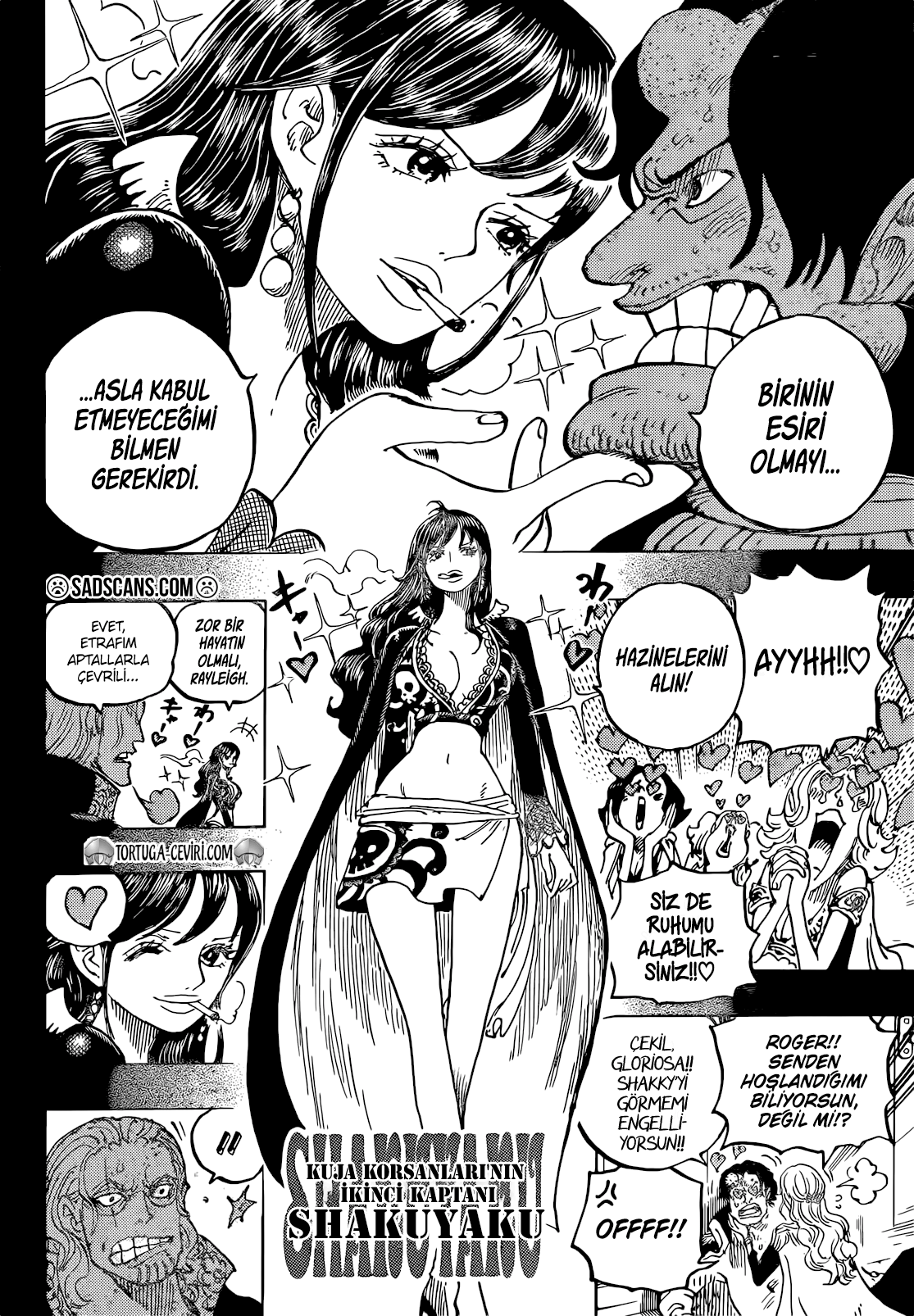 One Piece Bölüm 1156 - Sayfa 8 manga oku