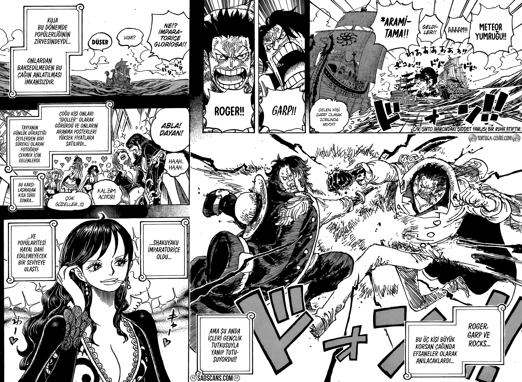 One Piece Bölüm 1156 - Sayfa 10 manga oku