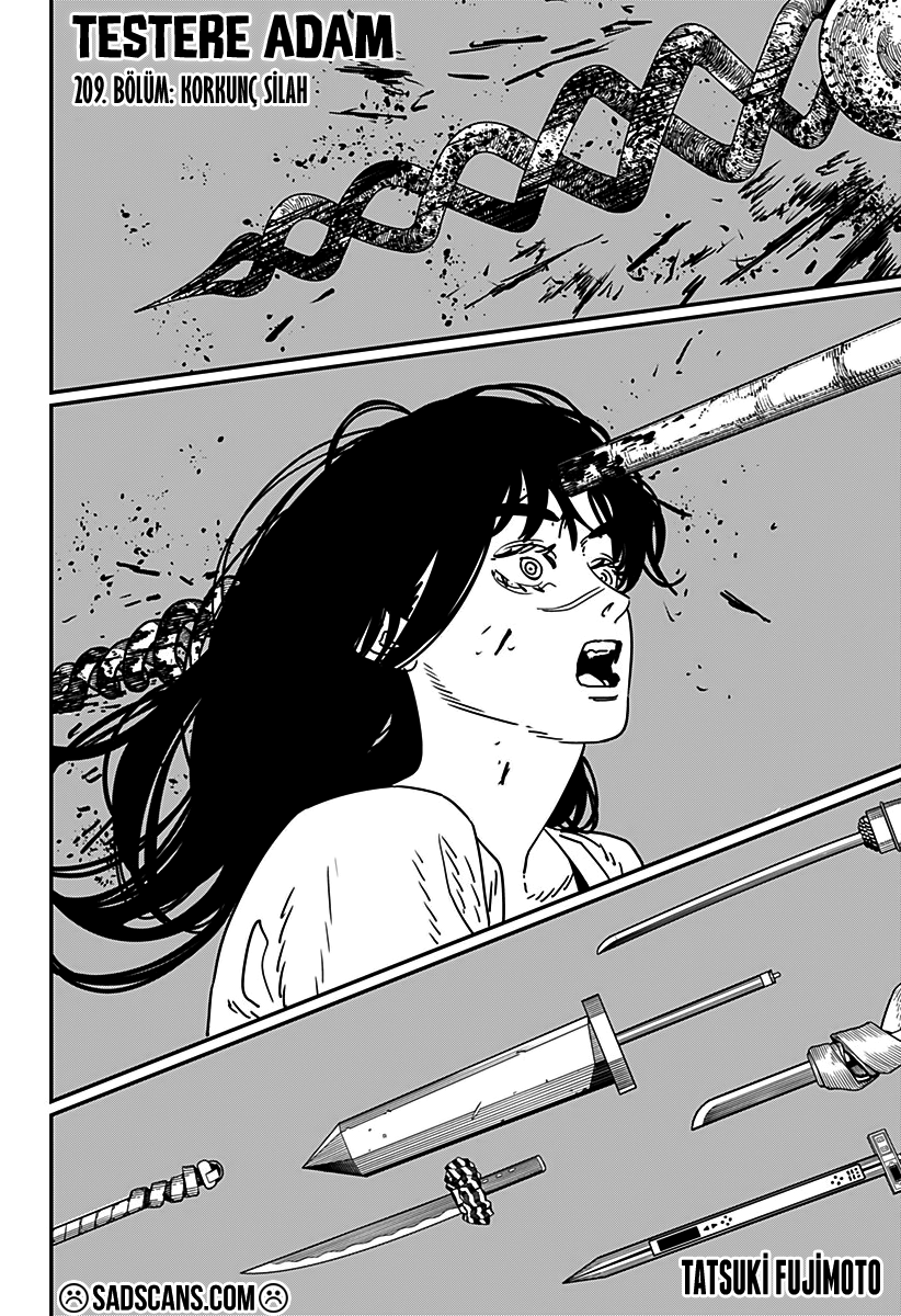 Chainsaw Man Bölüm 209 - Sayfa 1 manga oku