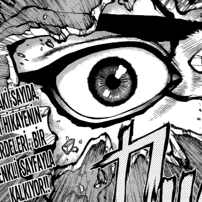 Dr. Stone