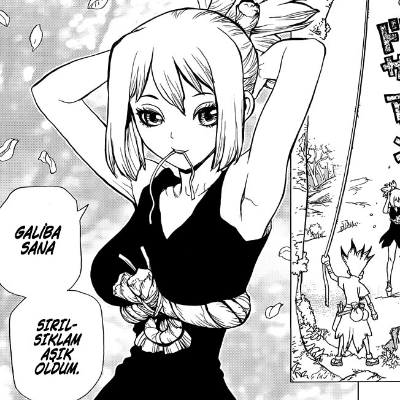 Dr. Stone