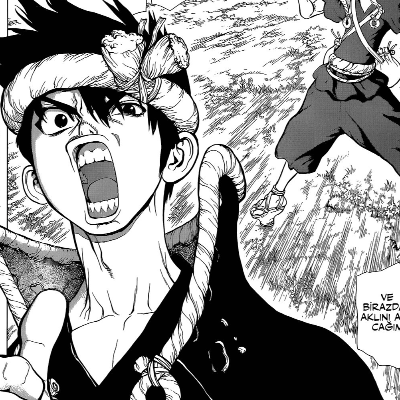 Dr. Stone