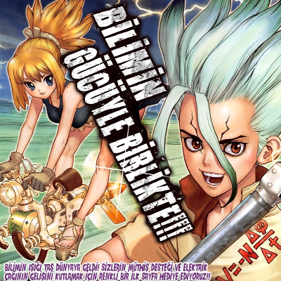 Dr. Stone