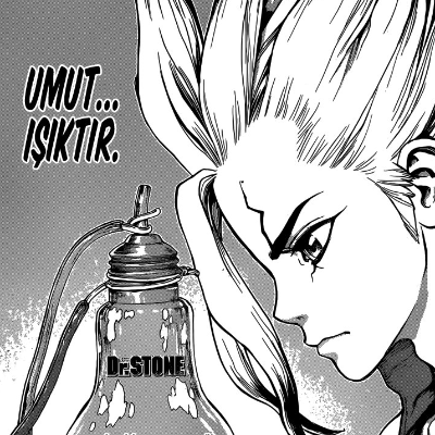 Dr. Stone