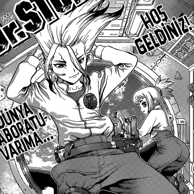Dr. Stone