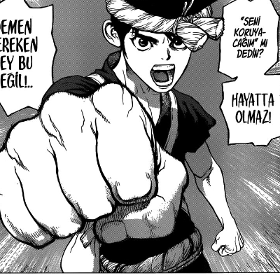 Dr. Stone