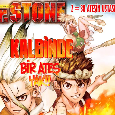 Dr. Stone