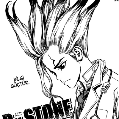 Dr. Stone