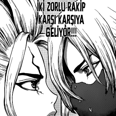 Dr. Stone