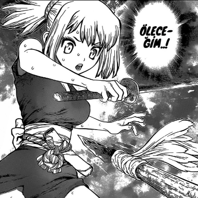 Dr. Stone