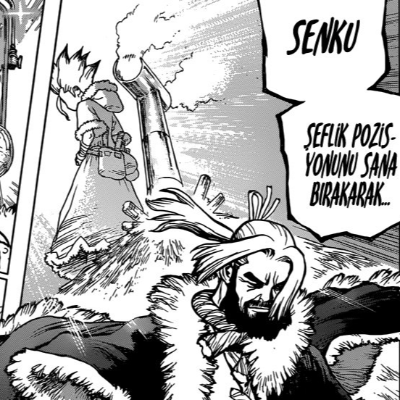 Dr. Stone