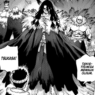 Dr. Stone