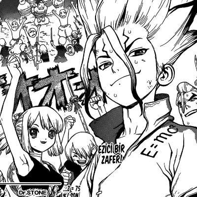 Dr. Stone