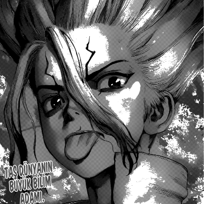 Dr. Stone