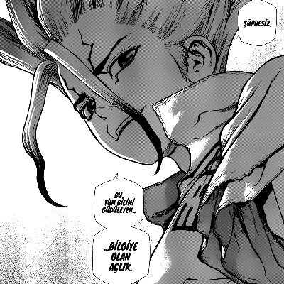 Dr. Stone