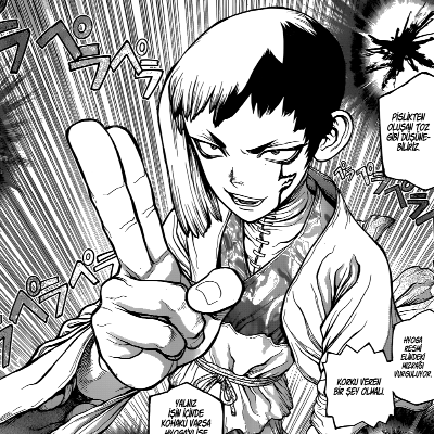 Dr. Stone