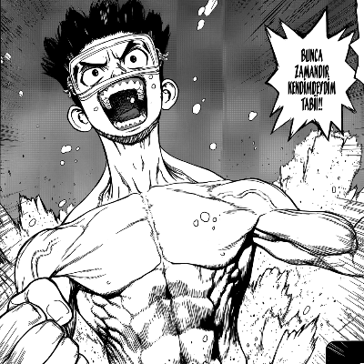 Dr. Stone