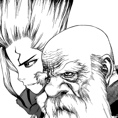 Dr. Stone