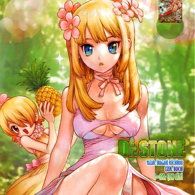 Dr. Stone