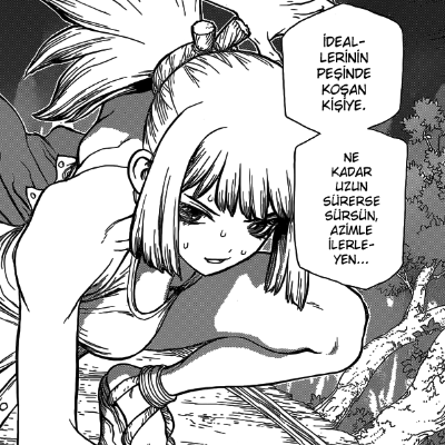 Dr. Stone