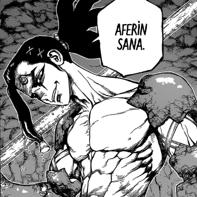 Dr. Stone