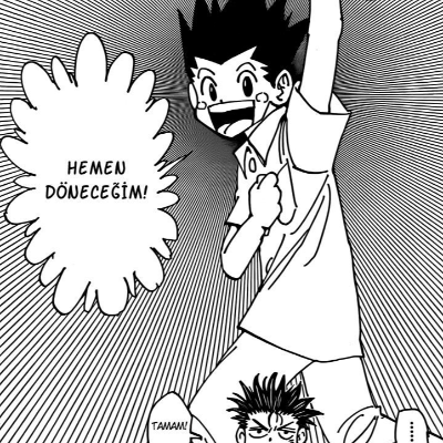 Hunter x Hunter